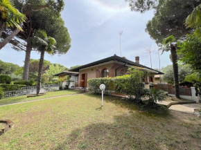 Villa Palm